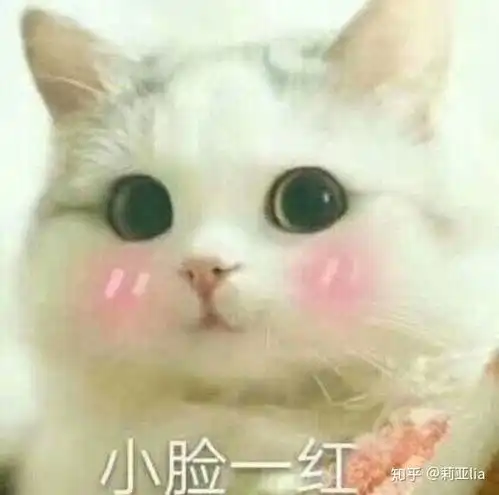 好奇害死猫表情包gifnic