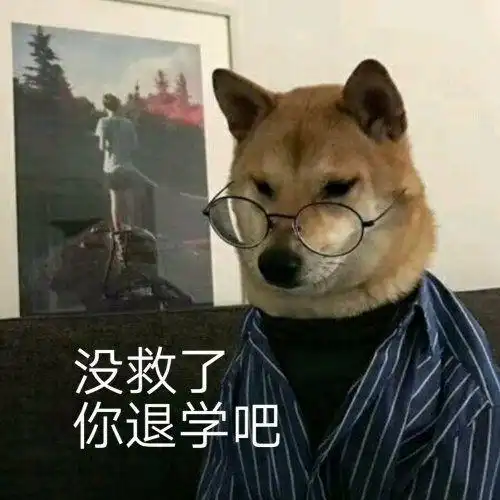 你有哪些让人笑到肚子疼的搞笑图片十二