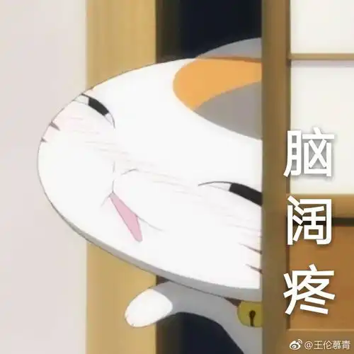 求可爱猫猫的表情包,谢谢啦