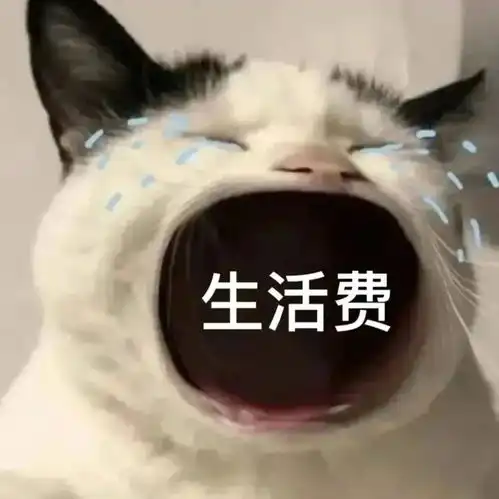 猫猫张大嘴表情包无字