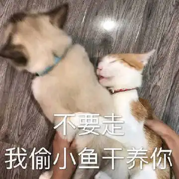 gre和托福哪个先考全面分析2种考试特点和备考建议