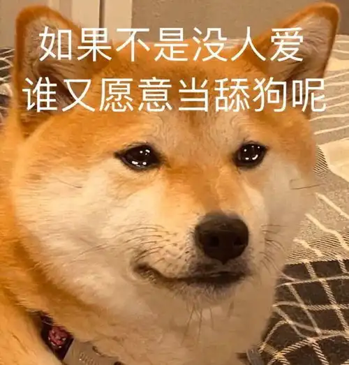 狗坐牢表情包图片