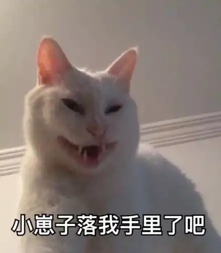 如果是你,会把你家的猫纹在身上么