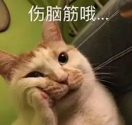 小胖子表情包我没钱家猫