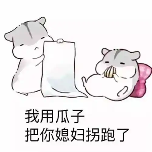 表情萌萌哒仓鼠热门爆笑表情包我用瓜子把你媳妇拐跑了表情