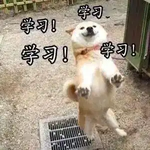 沙雕表情包i有事吗,老阿姨