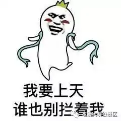 最刺激的表情包高空