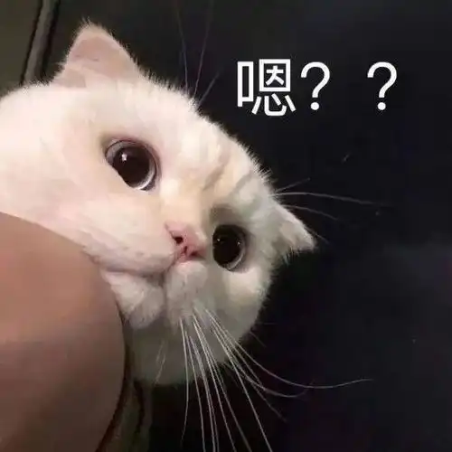 表情包你舍得让我流泪吗