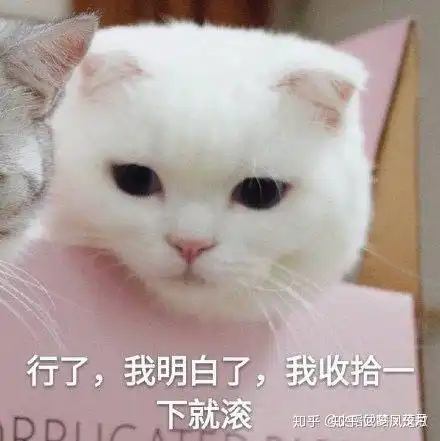 阴阳师斗技低段位怎么上分