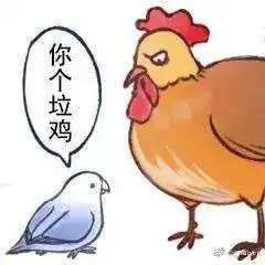 谐音梗表情包太可爱鸟