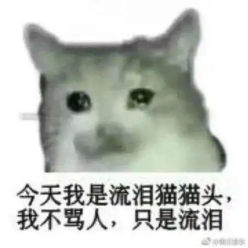 猫猫头表情包笼子