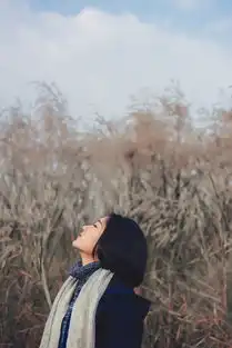 天上有灰机