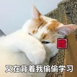 不可不知的b站历史类up主