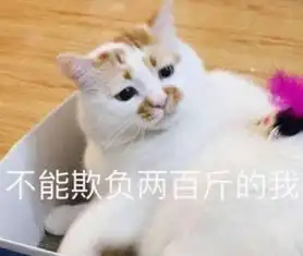 动漫肯定表情包猫咪