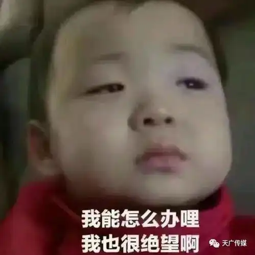 天长人新年好这是你们的2017年终总结