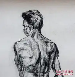郑州美院男子人体背面人物素描手稿画稿