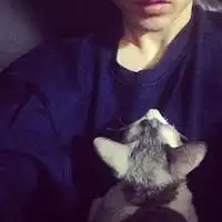 男生抱猫咪头像图片非洲
