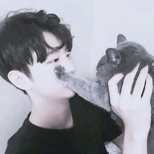 抱着猫咪的情侣头像