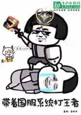 我,带着国服系统打王者小说
