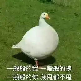 七月十四,不仅仅有被玩坏的鸭子...