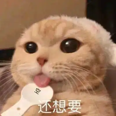 做人最紧要开心表情包