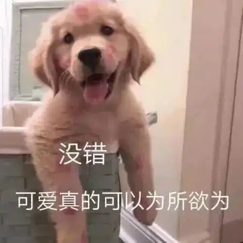 表情包睡不着在等一个人的晚安