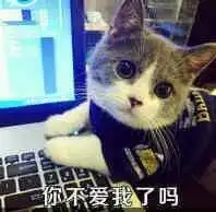 一个白