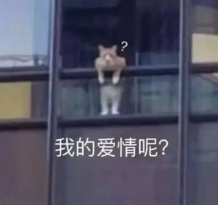 来一份可可爱爱的表情包吧2021.09.04