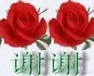 微信感谢表情包合集给过年抢红包的你