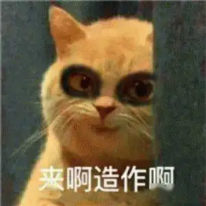 第77期喵表情渣猫长了一张强吻人的嘴,还乱撩女孩子