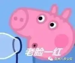 贺州一男子网恋被骗17万元竟是抠脚大汉扮演妙龄女孩所为...