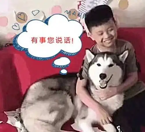 二哈将寒假作业撕了一地,孩子的表情把网友笑翻这狗没白养
