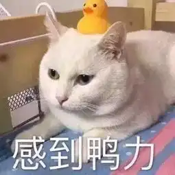 人老了表情包沙雕