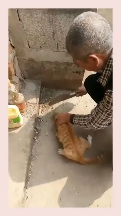 好奇害死猫啊