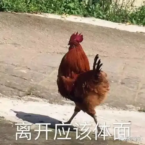 对付蝗虫,我们有鸡,我们有鸭