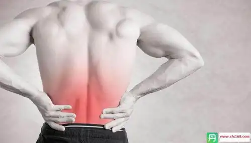 北京国康中西医结合医院刘家兰分析慢性肾炎为何会发展成肾衰竭