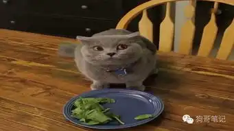 猫咪偷吃被告诉主人来了表情和动作让人泪奔