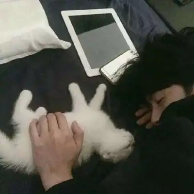 男生抱猫咪头像图片猫咪