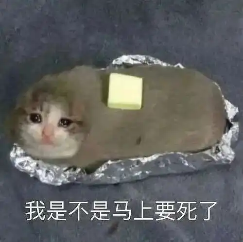 花季少女在真人npc密室逃脱中被吓出返祖现象