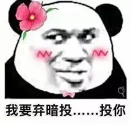 熊猫头土味情话