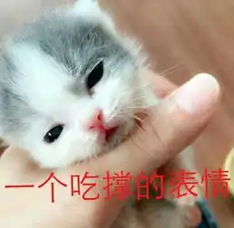 猫咪偷偷抹把泪表情包楼