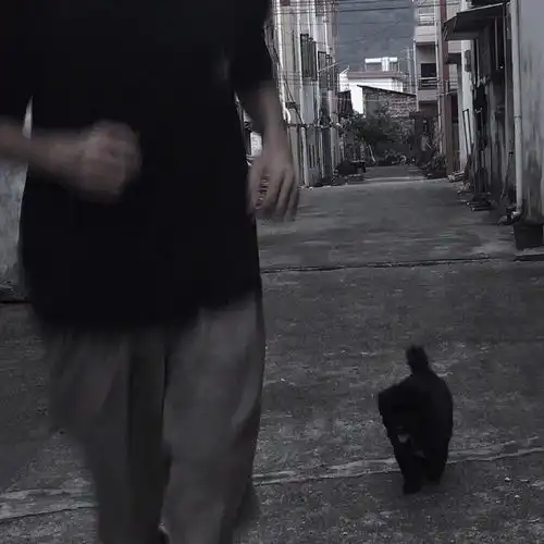 头像人间本不该令我这么欣喜的,但是你来了