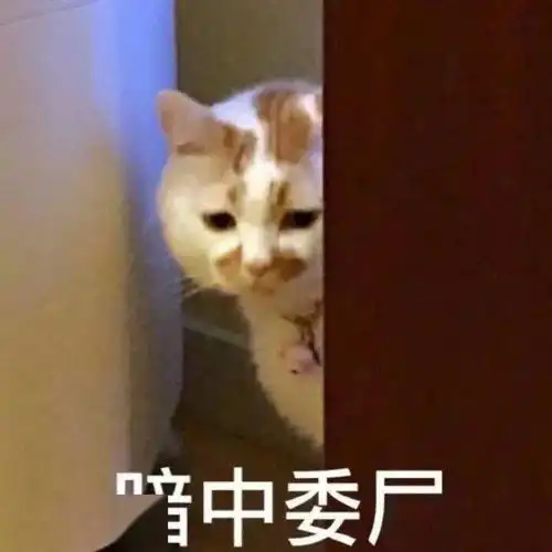你问我答第8期工作3年后裸职考研值得吗