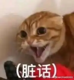 快递小哥冒雨送快递却被偷,雨中痛哭20分钟怎么办怎么办