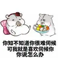 哄女生生气的表情包