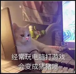 超级怼人表情包你不会是不知火舞的弟弟不知好歹吧