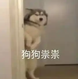 为什么男生宿舍的氛围总比女生宿舍更和睦