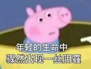 吸烟表情包艾特男朋友猪
