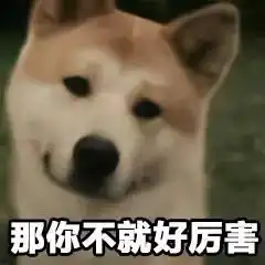柴犬丨汪界表情包的鼻祖