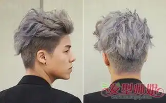 男生银灰色发型图片男生染发颜色银灰色